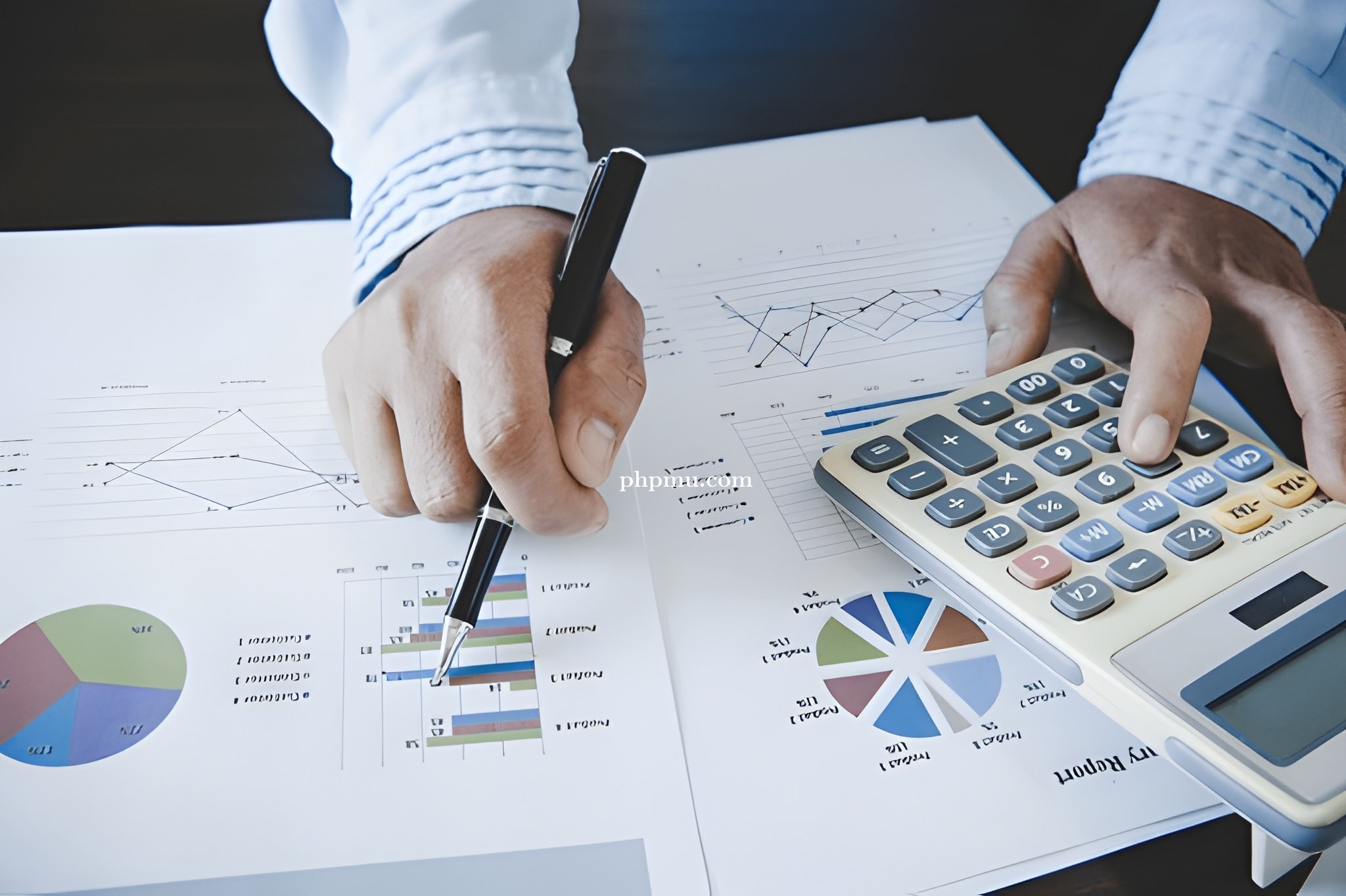 Konsultan Aktuaria sebagai Mitra Profesional dalam Audit Keuangan Tahunan